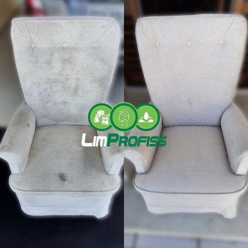 Limpeza-e-higienizaçã-de-estofados-sofás-colchões-poltronas-puffs-almofadas-cadeiras-carrinho-e-cadeirinha-de-bebê-bancos-de-carro-veículo-automóvel-em-NATAL-RIO-GRANDE-DO-NORTE (1)
